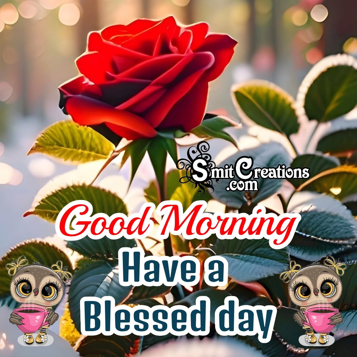 Good Morning Have A Blessed Day