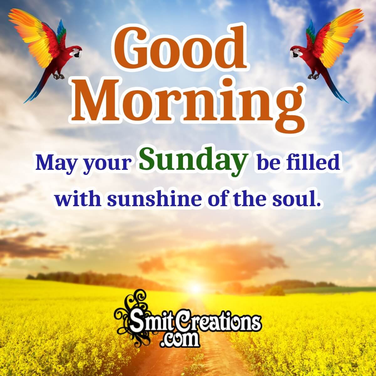 Good Morning Happy Sunday Wish