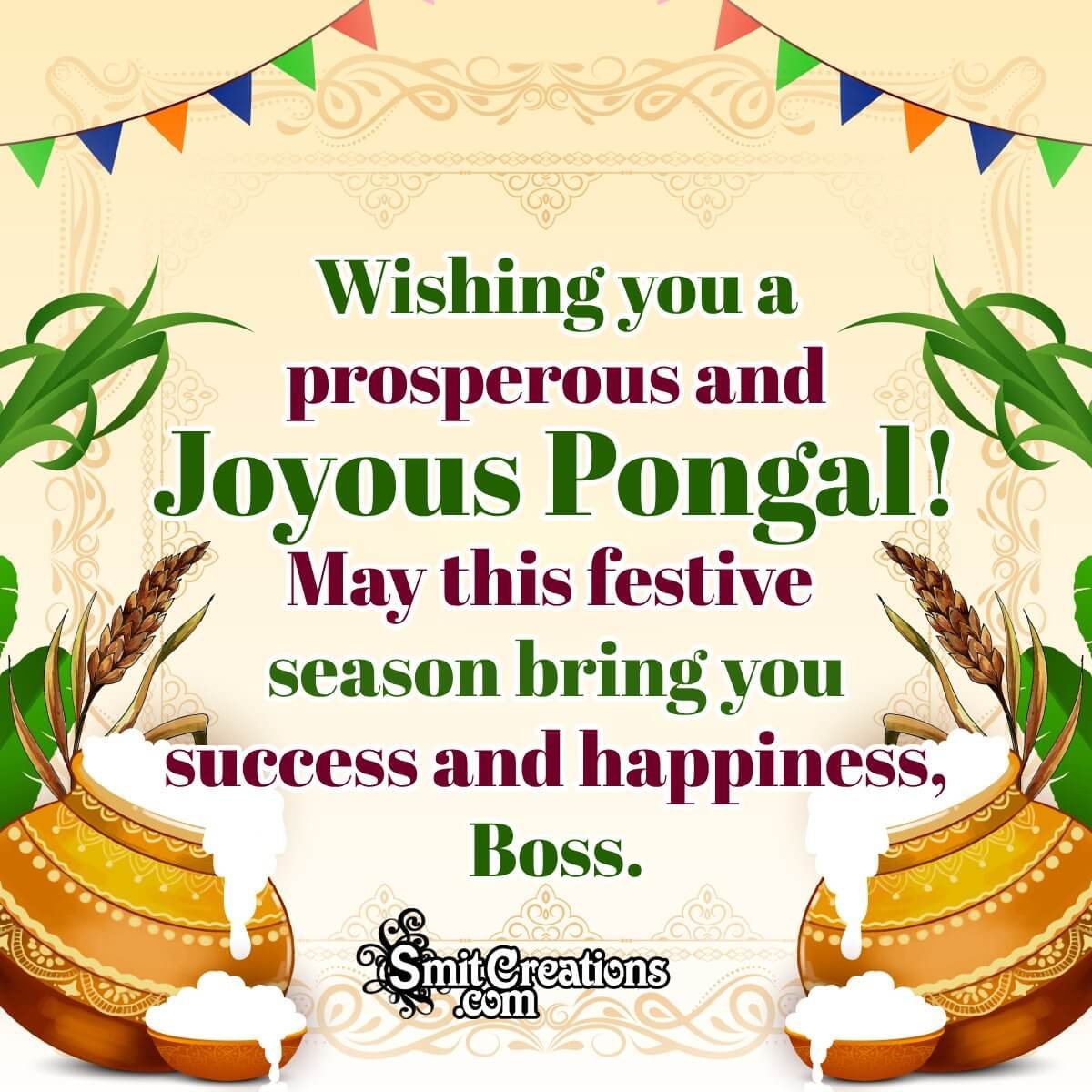 Pongal Wishes For Boss